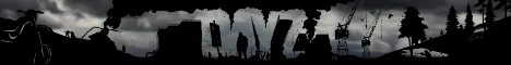 mc.dayz.pw