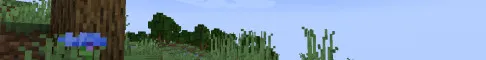 Vanilla+